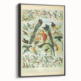 Vintage Animal Art: Birds of Paradise & Exotic Hummingbirds Print