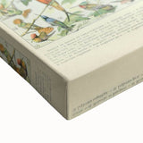 Vintage Animal Art: Birds of Paradise & Exotic Hummingbirds Print