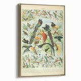 Vintage Animal Art: Birds of Paradise & Exotic Hummingbirds Print