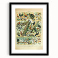 Vintage Animal Art: Peacocks & Pheasants Bird Illustration Print