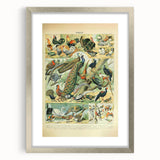 Vintage Animal Art: Peacocks & Pheasants Bird Illustration Print