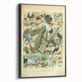 Vintage Animal Art: Peacocks & Pheasants Bird Illustration Print