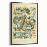 Vintage Animal Art: Peacocks & Pheasants Bird Illustration Print