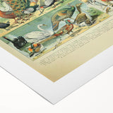 Vintage Animal Art: Peacocks & Pheasants Bird Illustration Print
