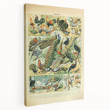 Vintage Animal Art: Peacocks & Pheasants Bird Illustration Print