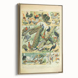 Vintage Animal Art: Peacocks & Pheasants Bird Illustration Print