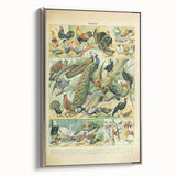 Vintage Animal Art: Peacocks & Pheasants Bird Illustration Print