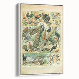 Vintage Animal Art: Peacocks & Pheasants Bird Illustration Print