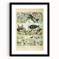 Vintage Animal Art: Exotic Birds & Large Aviary Illustration Print