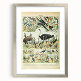 Vintage Animal Art: Exotic Birds & Large Aviary Illustration Print
