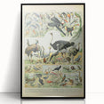 Vintage Animal Art: Exotic Birds & Large Aviary Illustration Print