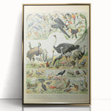 Vintage Animal Art: Exotic Birds & Large Aviary Illustration Print