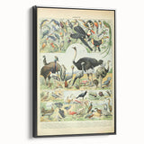 Vintage Animal Art: Exotic Birds & Large Aviary Illustration Print