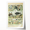 Vintage Animal Art: Exotic Birds & Large Aviary Illustration Print
