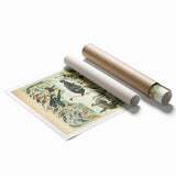 Vintage Animal Art: Exotic Birds & Large Aviary Illustration Print