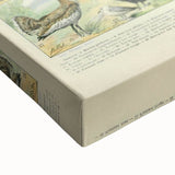 Vintage Animal Art: Exotic Birds & Large Aviary Illustration Print