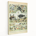 Vintage Animal Art: Exotic Birds & Large Aviary Illustration Print