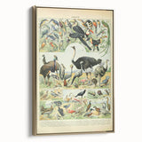 Vintage Animal Art: Exotic Birds & Large Aviary Illustration Print