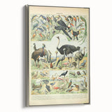 Vintage Animal Art: Exotic Birds & Large Aviary Illustration Print