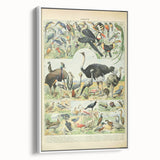 Vintage Animal Art: Exotic Birds & Large Aviary Illustration Print