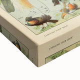 Vintage Animal Art: Exotic Birds & Birds of Paradise Print