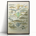 Retro Animal Illustrations: Vintage Fish Art for Home Decor