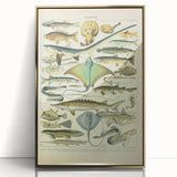 Retro Animal Illustrations: Vintage Fish Art for Home Decor