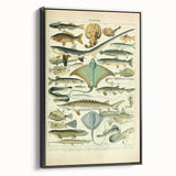 Retro Animal Illustrations: Vintage Fish Art for Home Decor