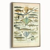 Retro Animal Illustrations: Vintage Fish Art for Home Decor