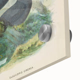 Vintage Animal Art: Bird Illustration Art Print