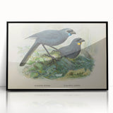 Vintage Animal Art: Bird Illustration Art Print