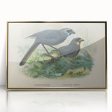 Vintage Animal Art: Bird Illustration Art Print