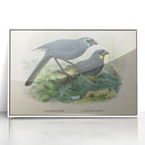 Vintage Animal Art: Bird Illustration Art Print