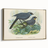 Vintage Animal Art: Bird Illustration Art Print