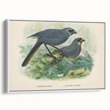 Vintage Animal Art: Bird Illustration Art Print