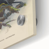 Vintage Animal Art: Bird Illustration Art Print