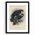 Vintage Animal Art: Bird Illustration Art Print