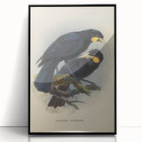 Vintage Animal Art: Bird Illustration Art Print