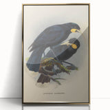Vintage Animal Art: Bird Illustration Art Print