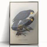 Vintage Animal Art: Bird Illustration Art Print