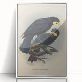 Vintage Animal Art: Bird Illustration Art Print