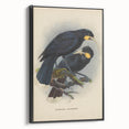 Vintage Animal Art: Bird Illustration Art Print