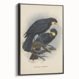 Vintage Animal Art: Bird Illustration Art Print