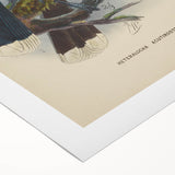 Vintage Animal Art: Bird Illustration Art Print