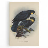 Vintage Animal Art: Bird Illustration Art Print