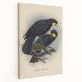 Vintage Animal Art: Bird Illustration Art Print