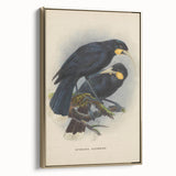 Vintage Animal Art: Bird Illustration Art Print