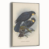 Vintage Animal Art: Bird Illustration Art Print