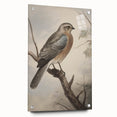 Timeless Vintage Animal Art: Bird Illustration Print for Home