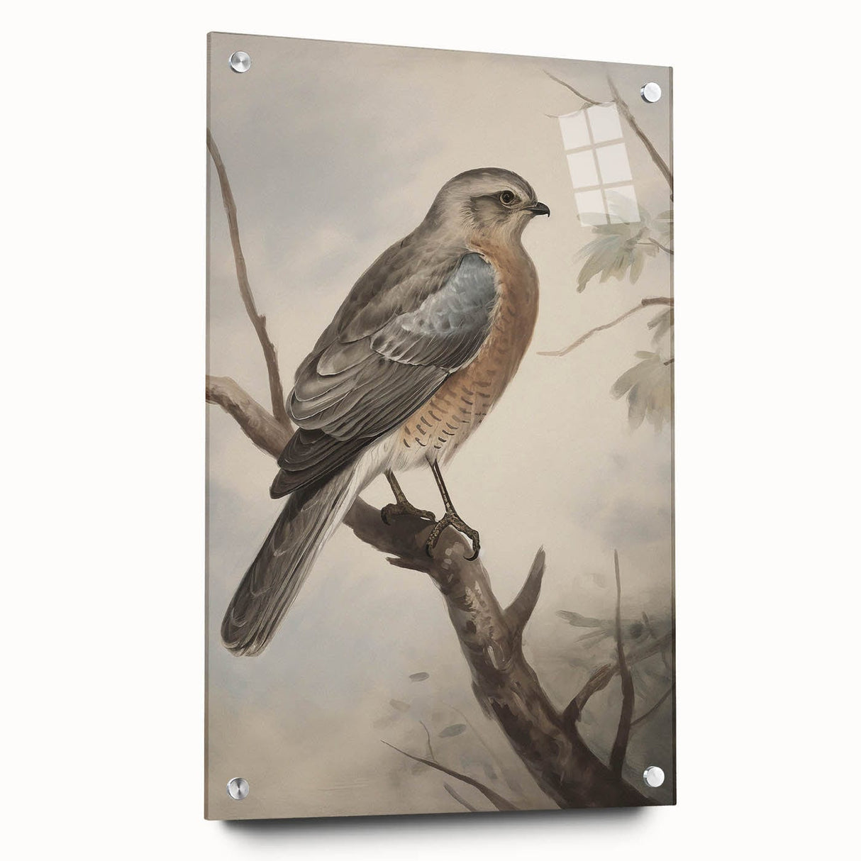 Timeless Vintage Animal Art: Bird Illustration Print for Home